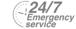 24/7 Emergency Service Pest Control in Hayes, Harlington, UB3, UB4. Call Now! 020 8166 9746