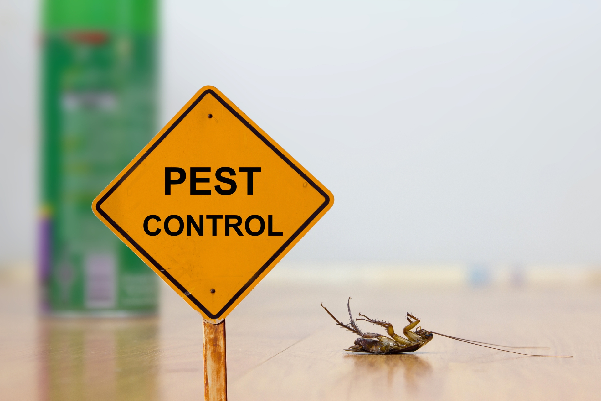24 Hour Pest Control, Pest Control in Hayes, Harlington, UB3, UB4. Call Now 020 8166 9746